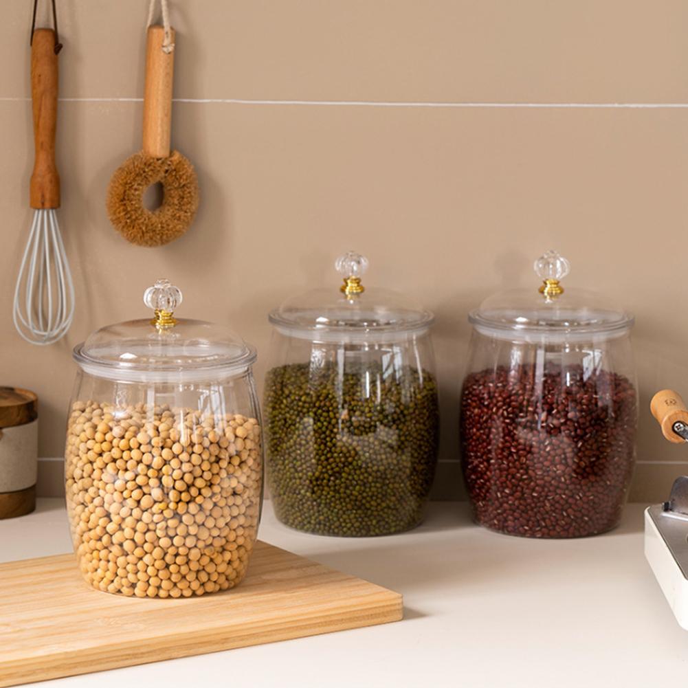 وعاء بلاستيكي شفاف كبير محكم ا - مراجعة Food Storage Containers وسعره
